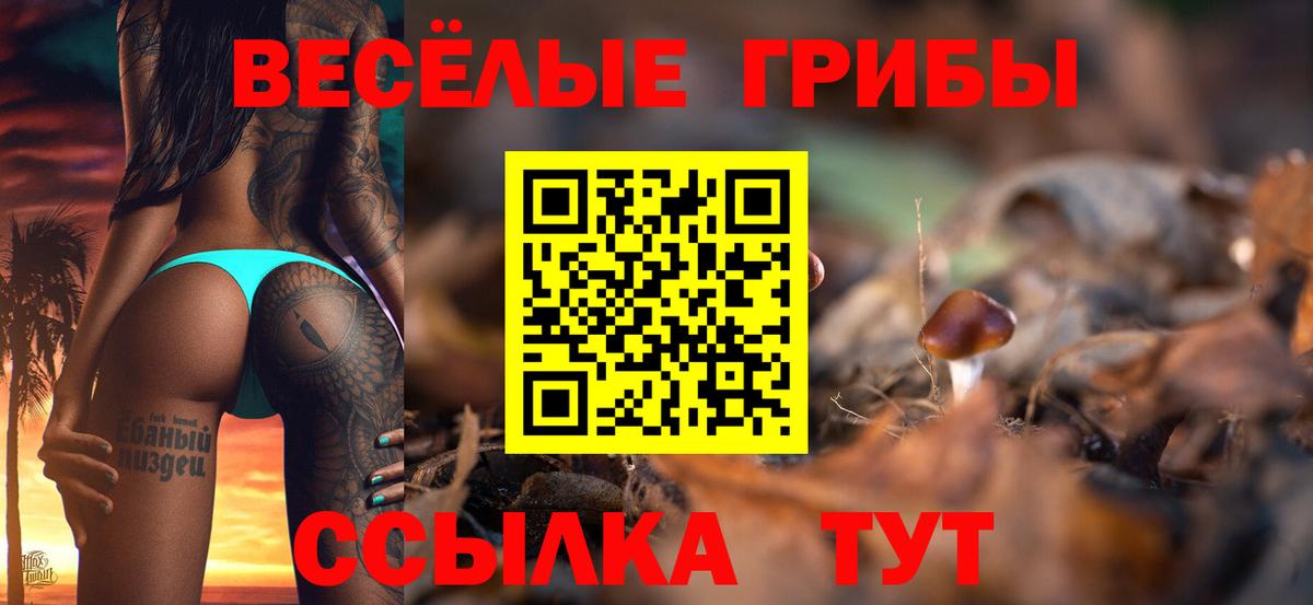 Галлюциногенные грибы Psilocybe  Вход с VPN  дарнет шоп  Феодосия 